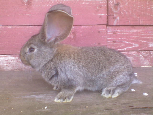 DSC00120.JPG