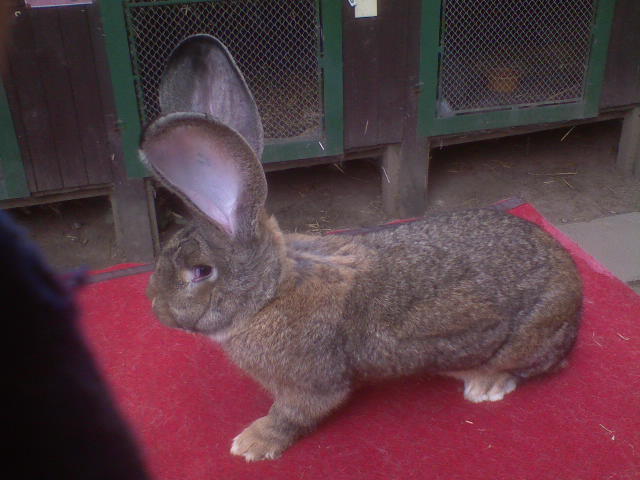 DSC00026.JPG