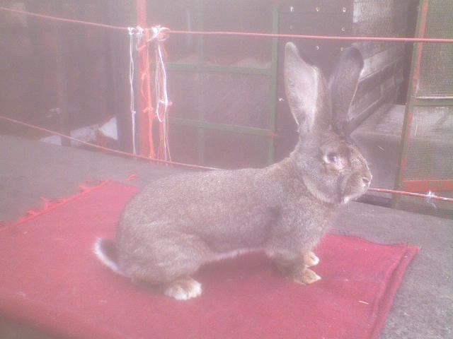 DSC00064.JPG