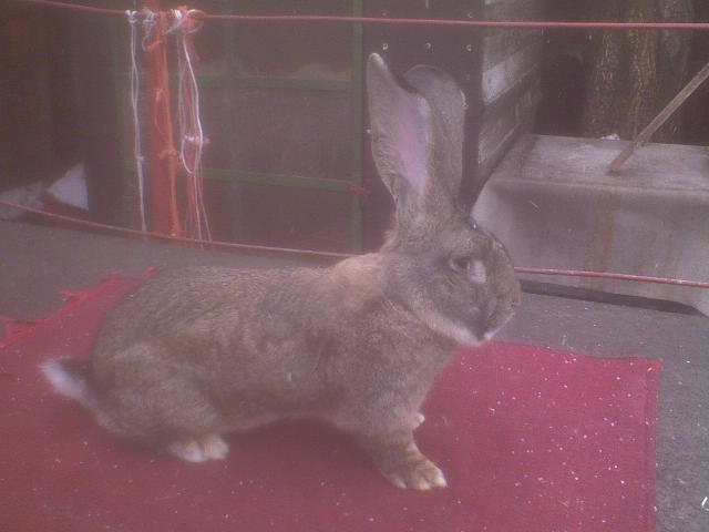 DSC00055.JPG