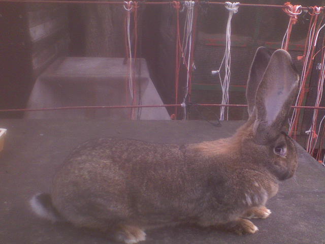 DSC00047.JPG