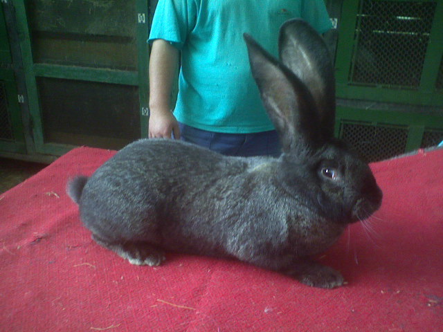 DSC01207.JPG
