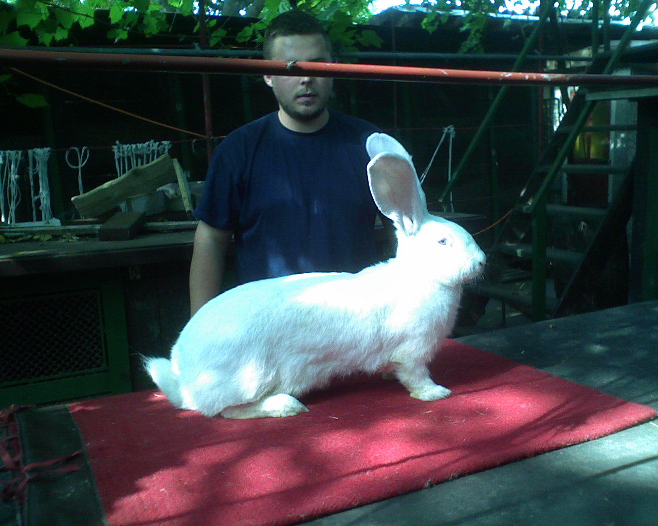 DSC01285.JPG