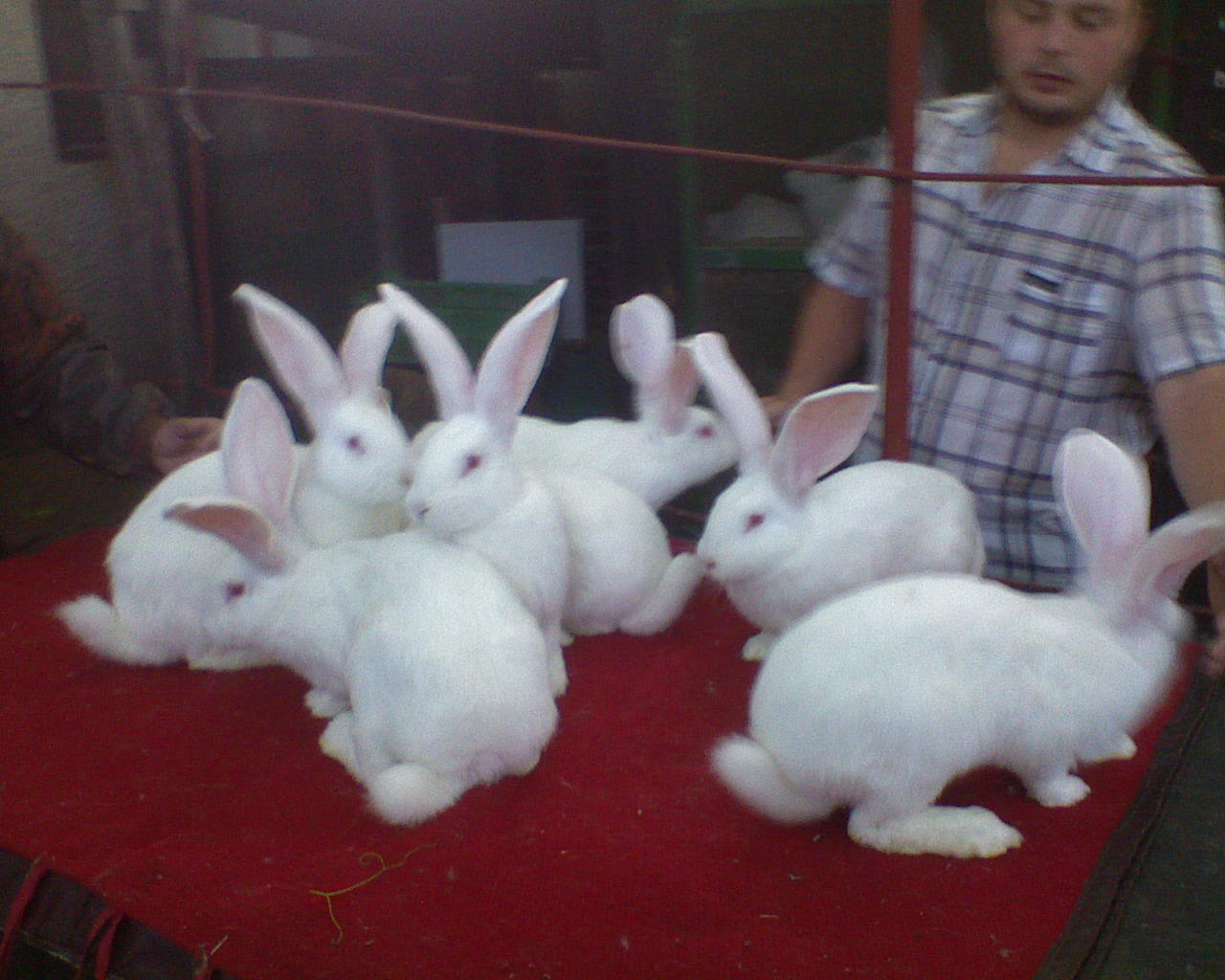 DSC00028.JPG