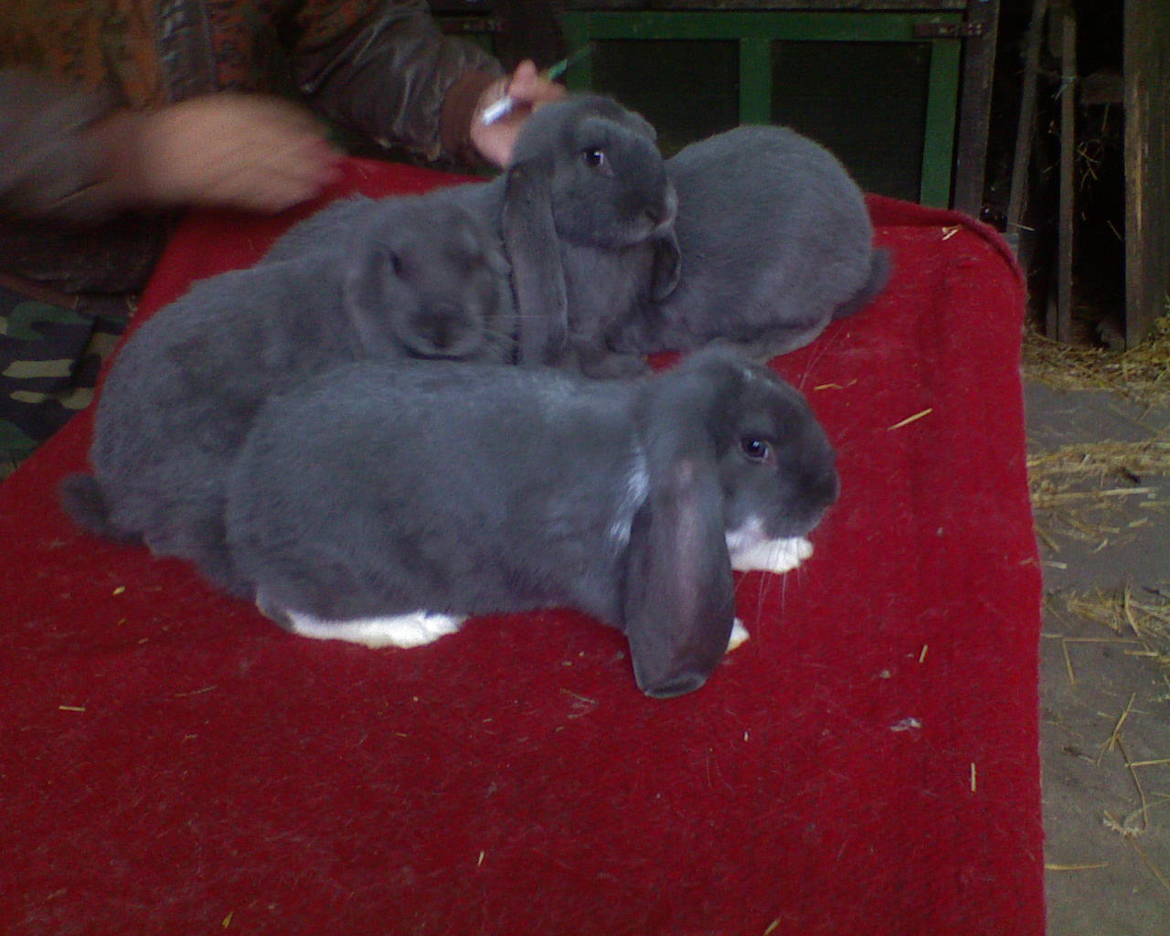 DSC00059.JPG